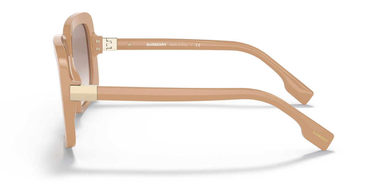399013 - Brown - Brown Gardient