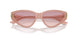 502768 - Pink - Brown Gradient Violet