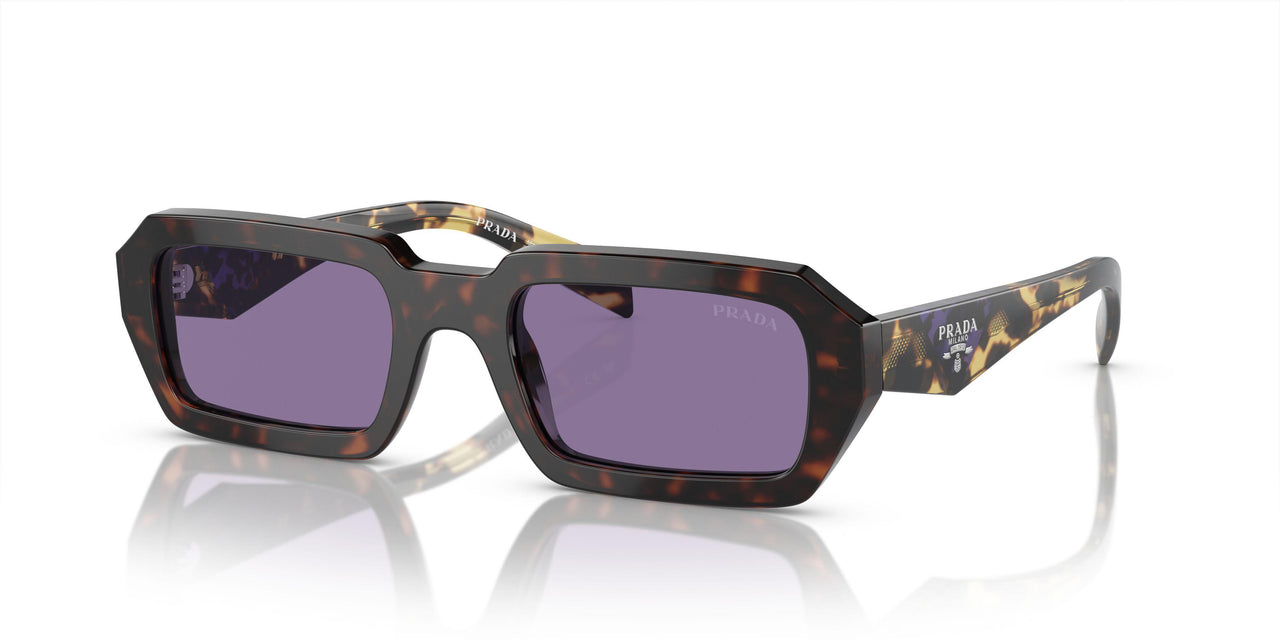 17N50B - Tortoise - Violet Mirror Silver Internal