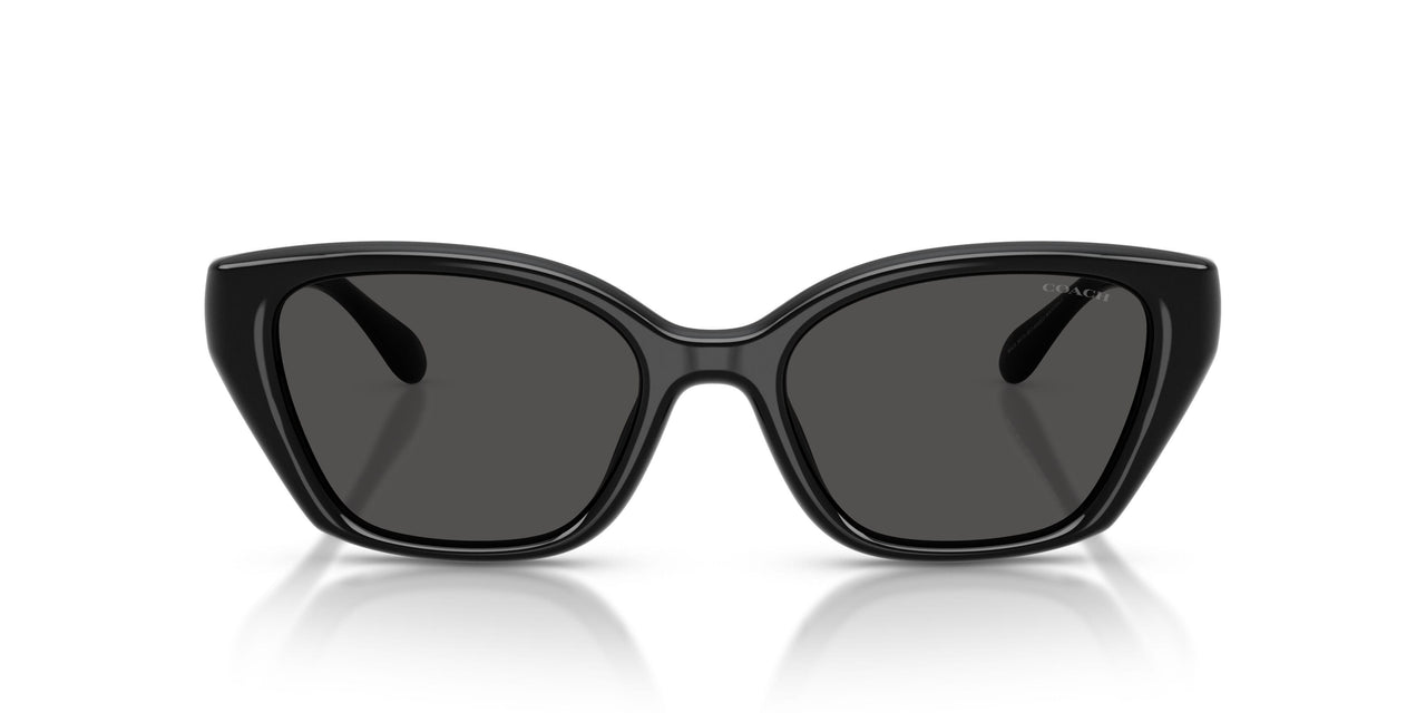 500287 - Black - Grey Solid
