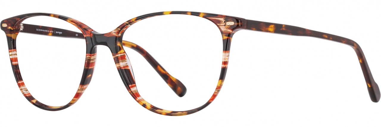 3 - Apricot / Tortoise