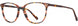 3 - Apricot / Tortoise