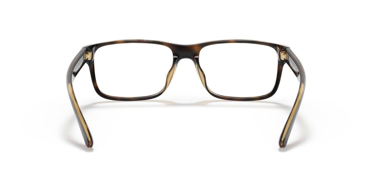 5003 - Tortoise