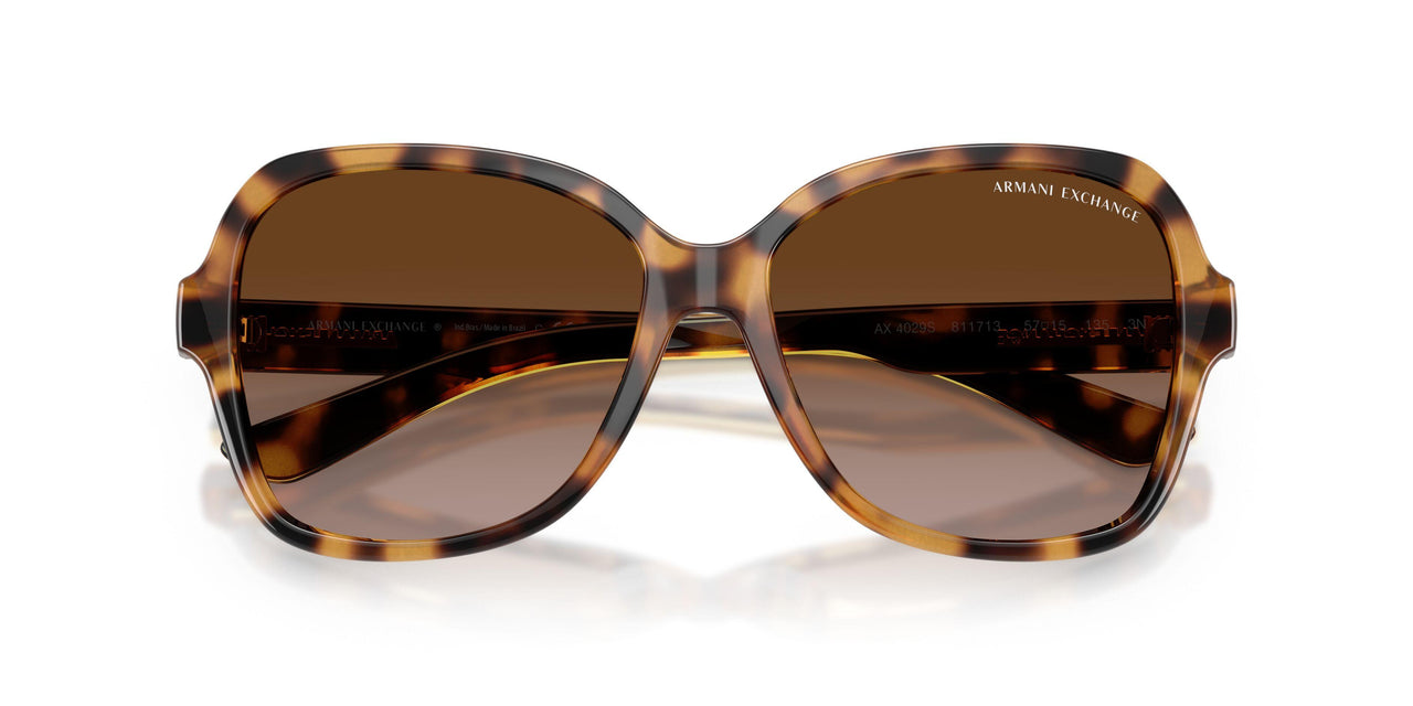 811713 - Havana - Dark Brown Gradient