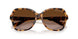 811713 - Havana - Dark Brown Gradient