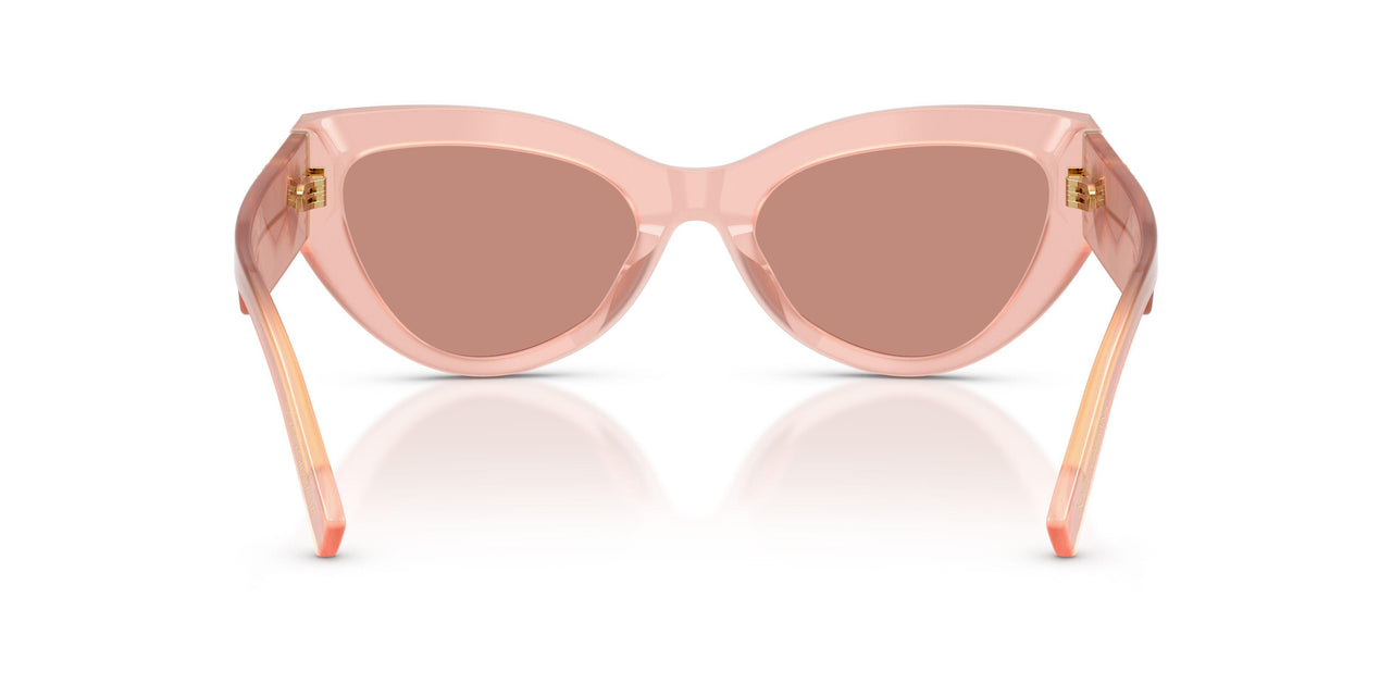 338496 - Pink - Dark Violet