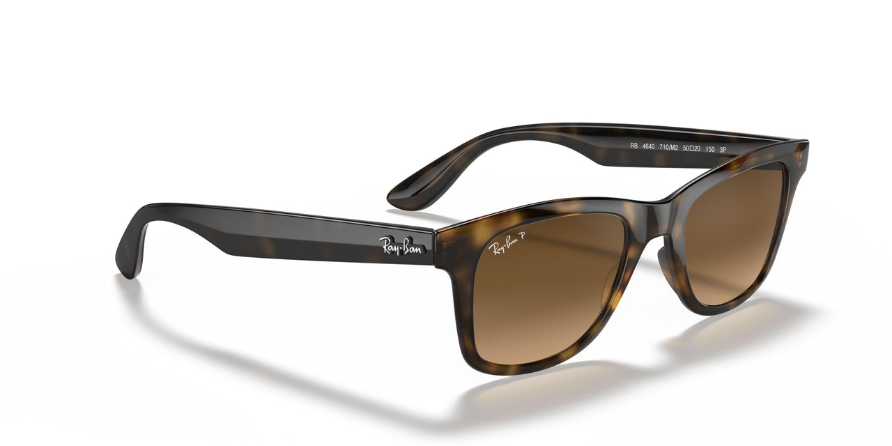 710/M2 - Havana - Gradient Brown Polar