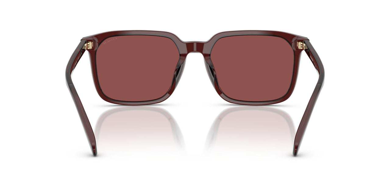 585075 - Red - Wine Solid