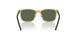 294/71 - Black - Dark Green