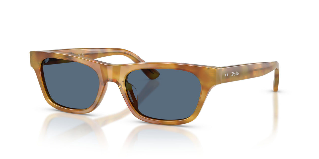 639380 - Tortoise - Dark Blue