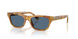 639380 - Tortoise - Dark Blue