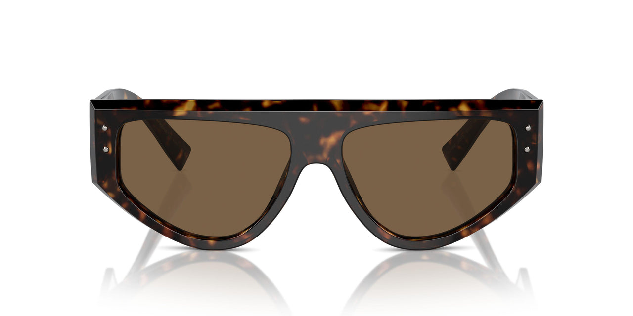 502/73 - Tortoise - Dark Brown