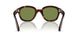 24/4E - Tortoise - Green