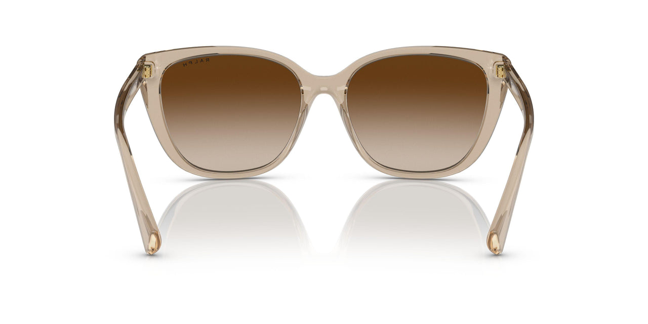 580213 - Brown - Gradient Brown