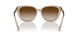 580213 - Brown - Gradient Brown