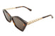 C2 - C2 Tortoise Gold