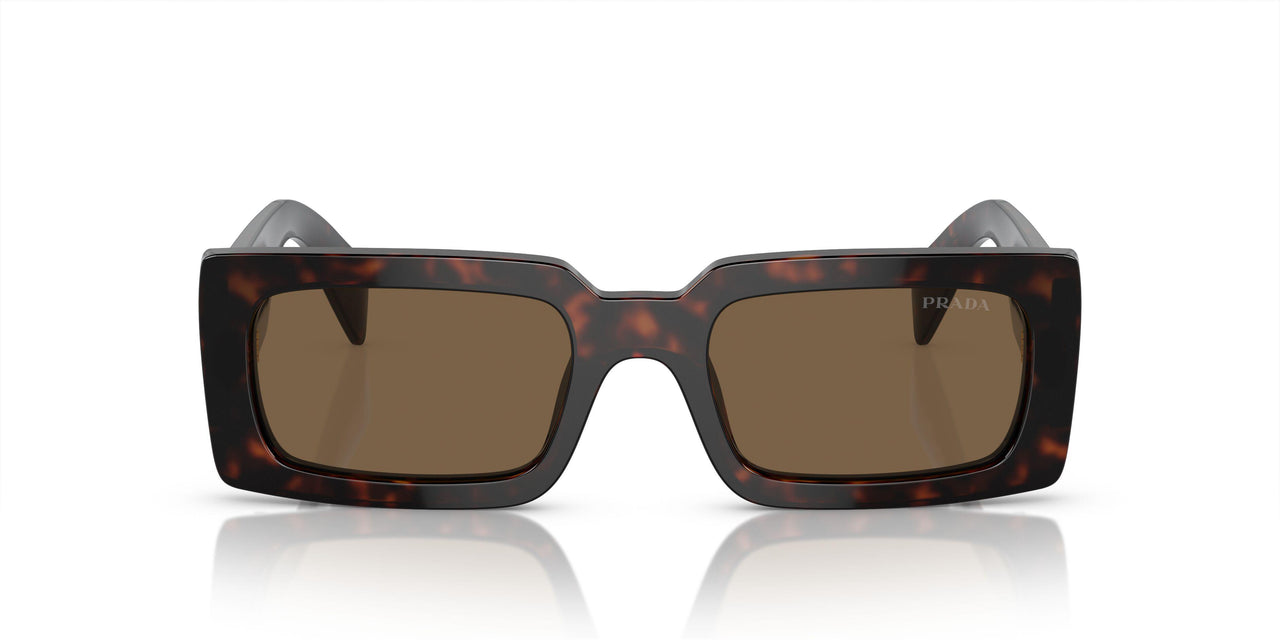 16N5Y1 - Brown - Dark Brown Polarized