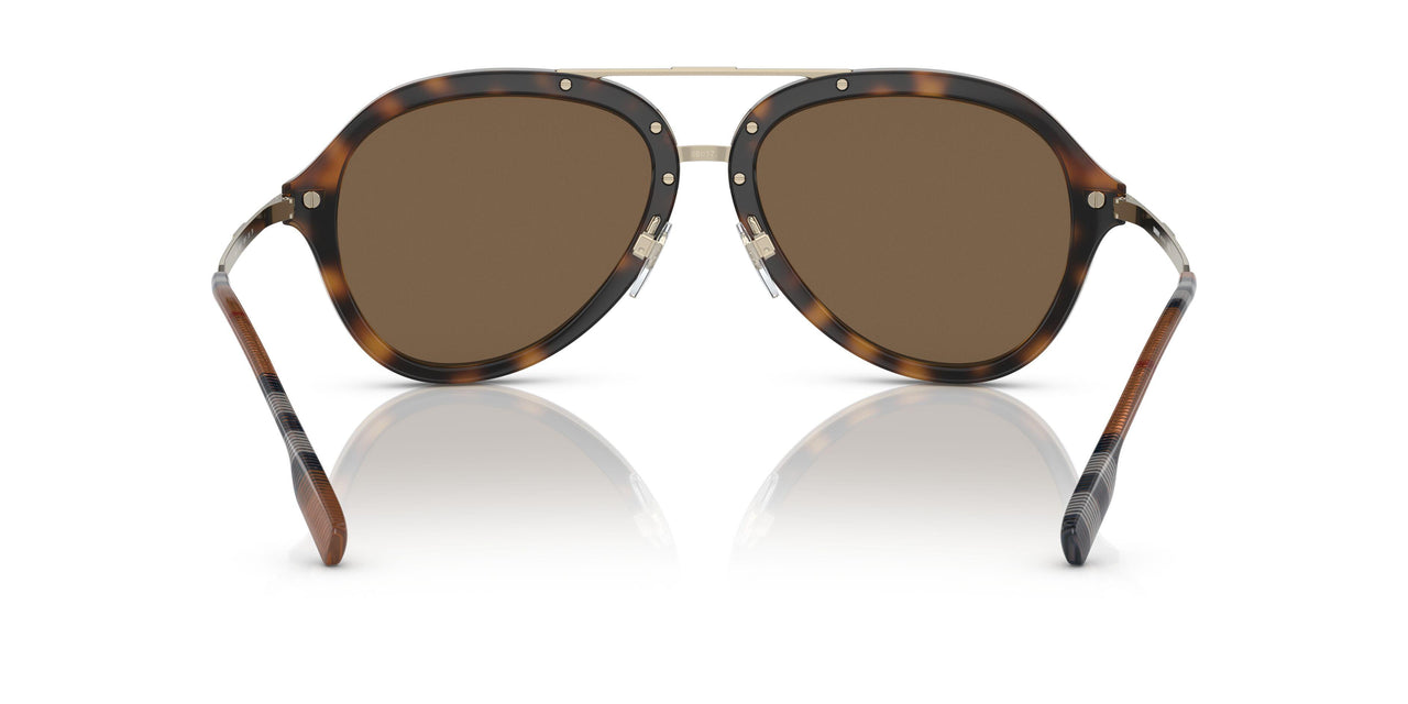300273 - Havana - Dark Brown