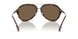 300273 - Havana - Dark Brown