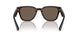 17N08T - Tortoise - Brown