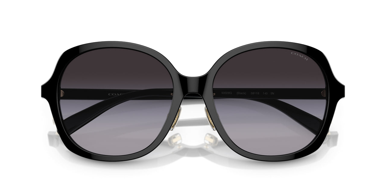 50028G - Black - Grey Gradient