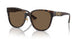 108/73 - Tortoise - Dark Brown