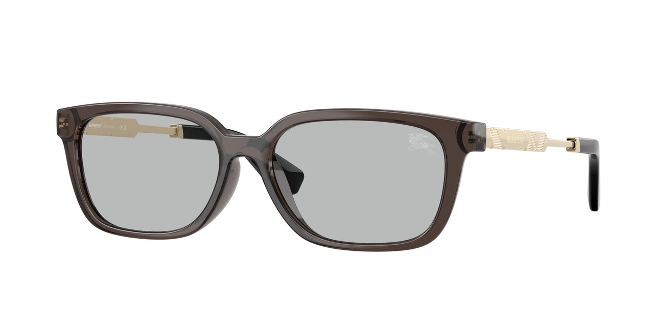 Burberry 4481D Sunglasses