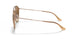 907051 - Light Brown - Clear Gradient Brown