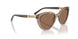 294073 - Brown - Dark Brown