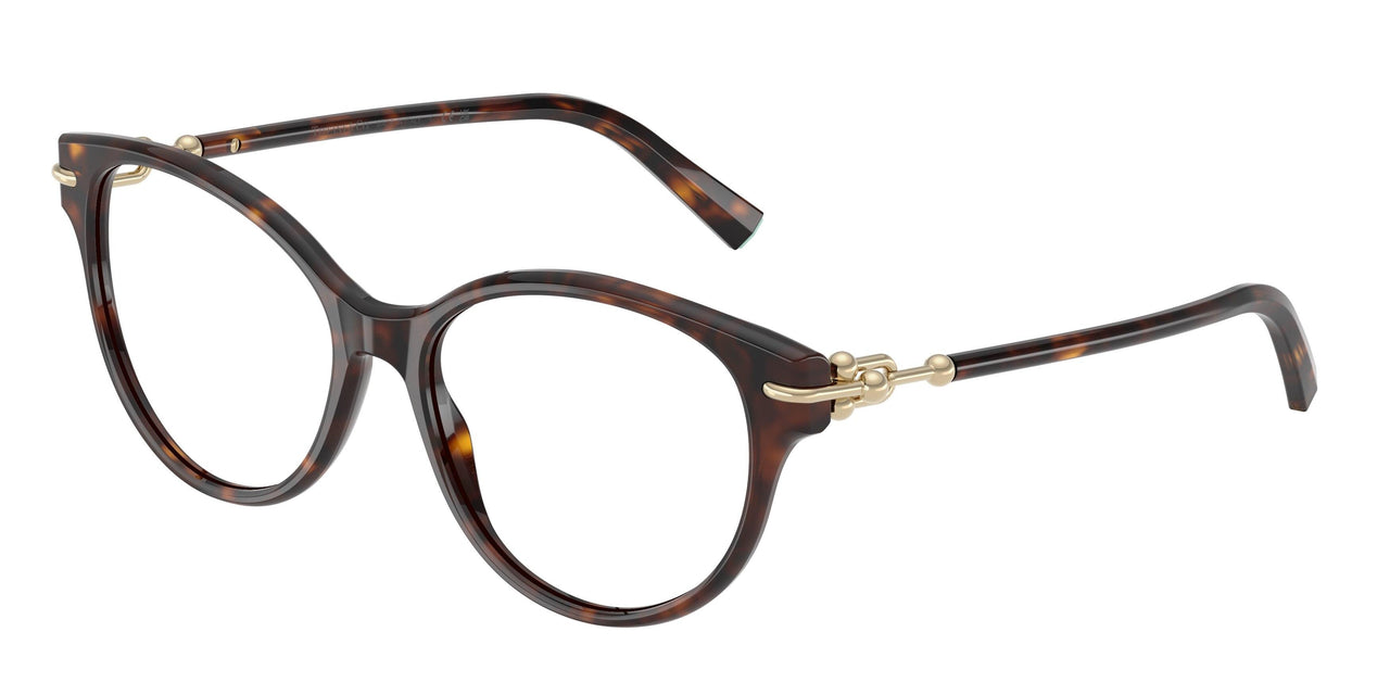 8015 - Tortoise