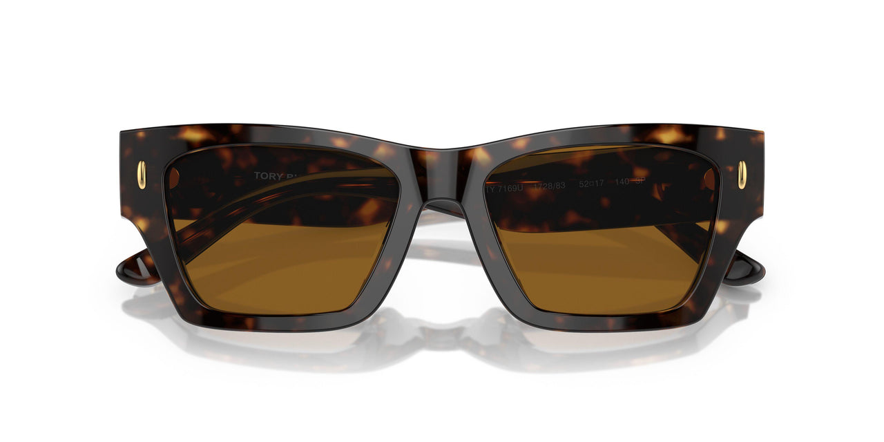 172883 - Tortoise - Dark Brown - Polar