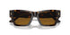 172883 - Tortoise - Dark Brown - Polar