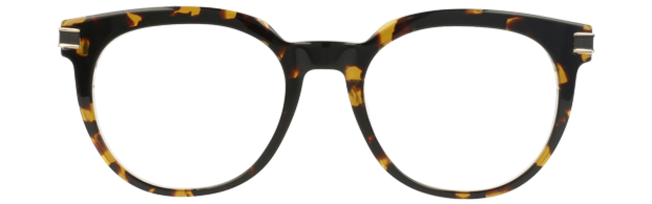 550 - Tortoise