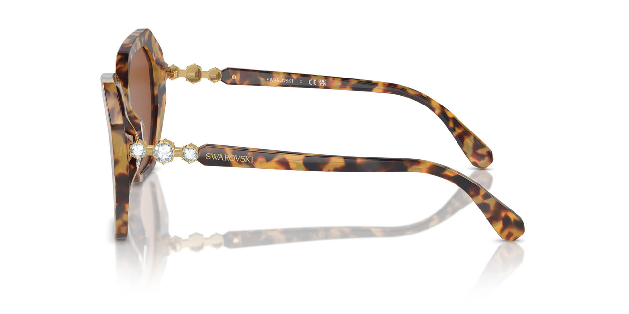 100473 - Tortoise - Dark Brown