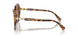 100473 - Tortoise - Dark Brown