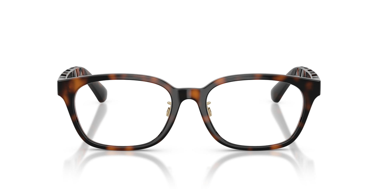 3002 - Brown