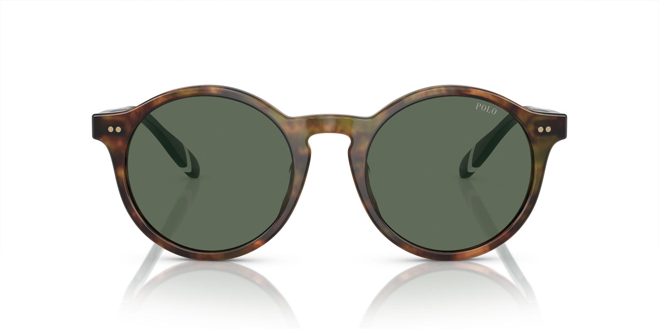 501771 - Tortoise - Bottle Green