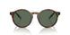 501771 - Tortoise - Bottle Green