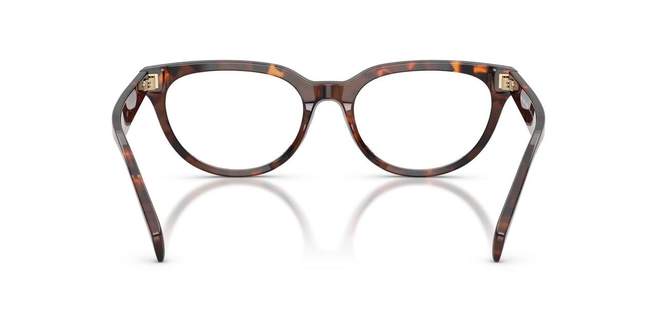 4031 - Tortoise
