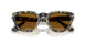 107133 - Tortoise - Brown