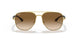 001/51 - Brown - Clear Gradient Brown