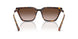 821313 - Tortoise - Gradient Brown