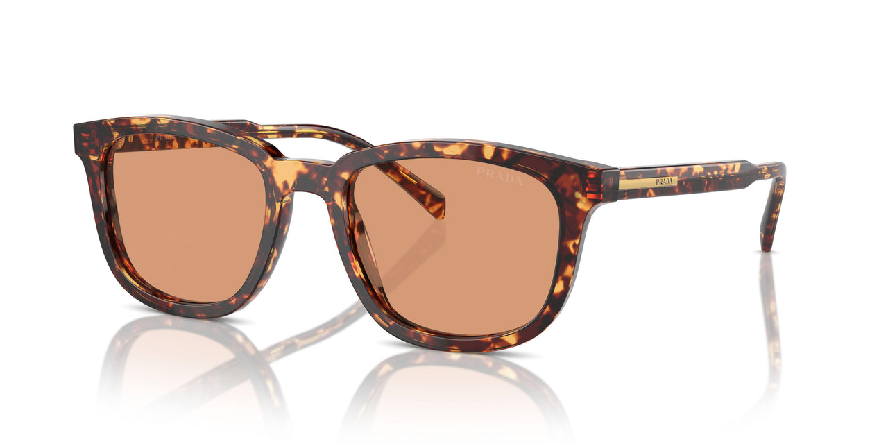 14O07V - Tortoise - Orange