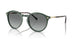 309211 - Green - Grey Gradient