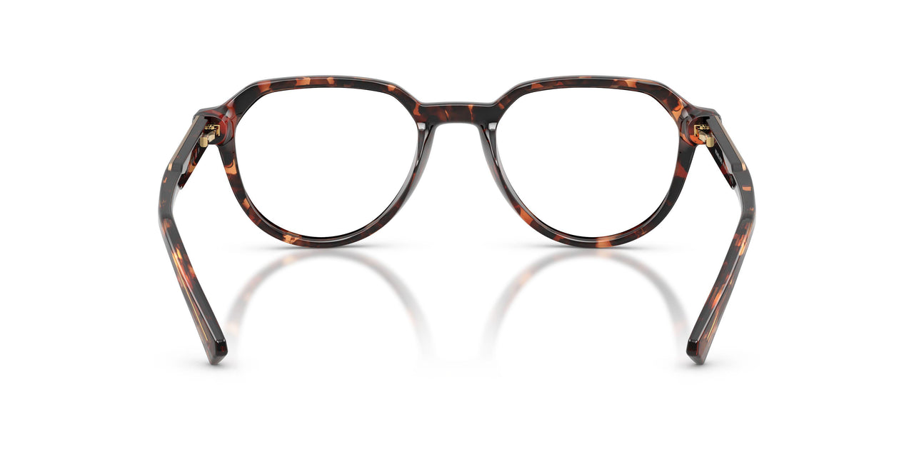 300613 - Tortoise - Smoke Gradient