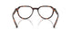 300613 - Tortoise - Smoke Gradient
