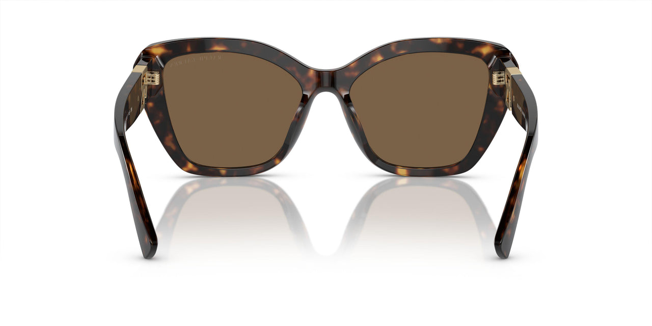 500373 - Tortoise - Brown