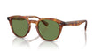 14834E - Tortoise - Vibrant Green