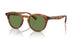 14834E - Tortoise - Vibrant Green