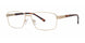 BMEC BIGCAT Eyeglasses